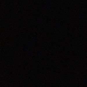 Meet your Posher, Dolly